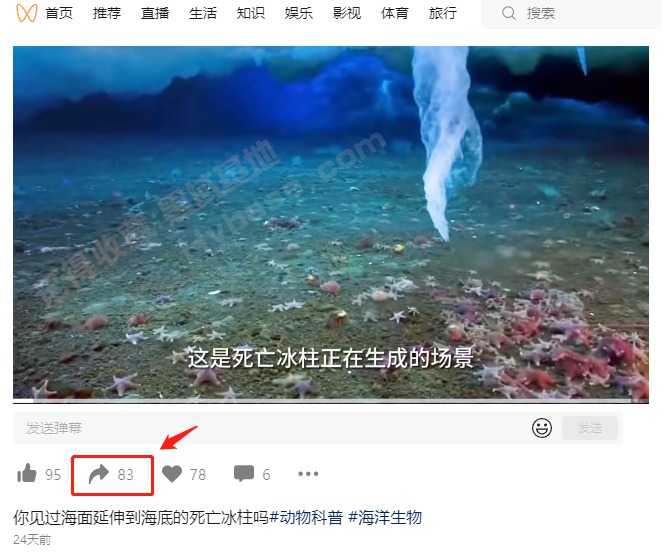 [Windows] 吾爱搞来的 河马视频号下载助手+WechatVideoSniffer